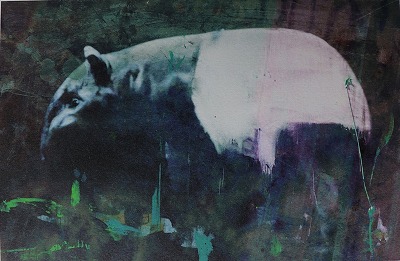井田幸昌「Tapir」