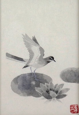 鶺鴒