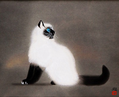猫