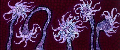 夜の花