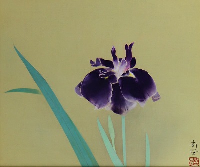 花菖蒲