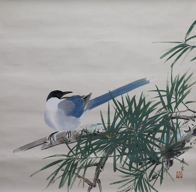 尾長鳥
