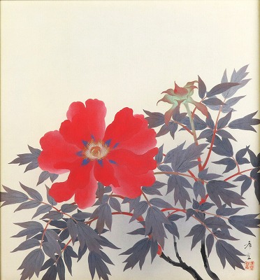紅牡丹