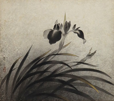 燕子花