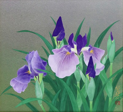 花菖蒲