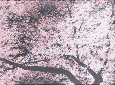桜図