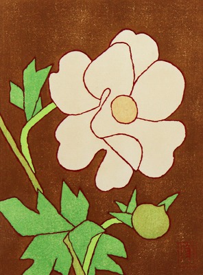 牡丹
