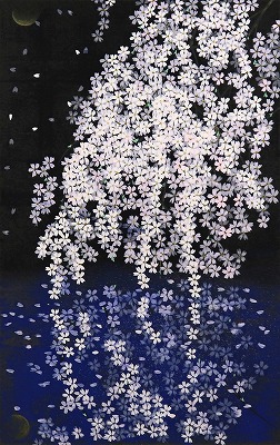 桜花春映