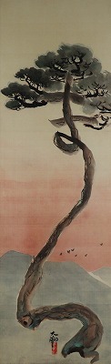 か那松 