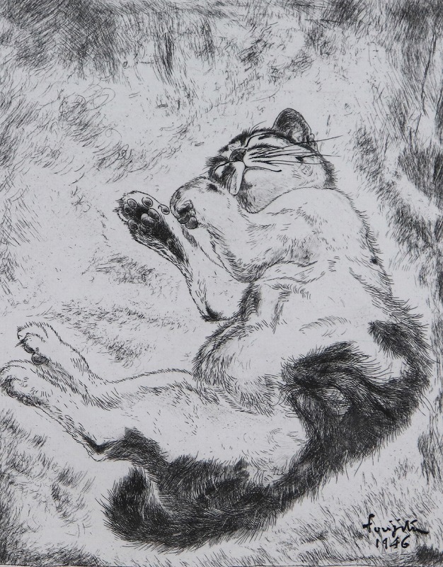 猫