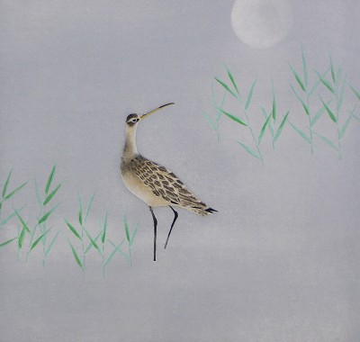 鳥たちの詩より「ホウロクシギ」