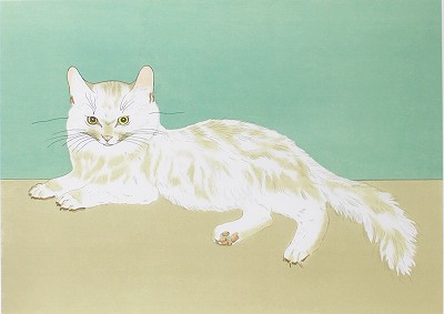 白い猫