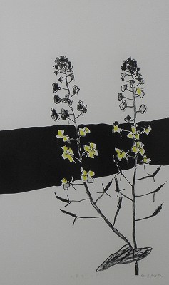 菜の花
