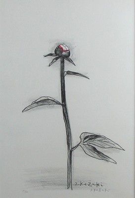 芍薬Ⅱ
