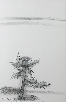 薊